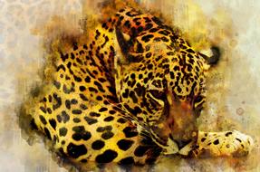 leopard watercolor drawing