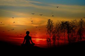 Silhouettes of a woman in meditation, flying birds and trees, on the beautiful shore, at colorful sunset