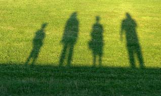 Family shadow grass