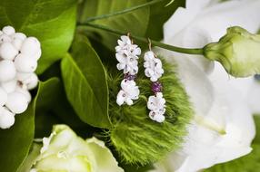 Close-up of the beautiful, white and purple earrings on the beautiful, white flowers with green leaves