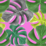 leaves of tropical plants, colorful seamless pattern
