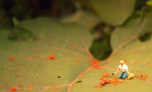 tiny female figurine on green leaf