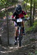 man Riding bicycle through forest