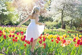 Spring Tulips Pretty Woman