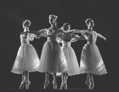 four Ballerinas in circle