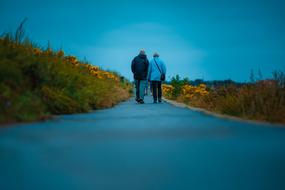 Couple Walking blue road