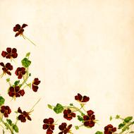 flower background vintage