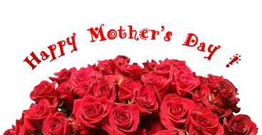 "Happy Mother's Day!" sign and bouquet of the beautiful, red rose flowers, at white background, clipart