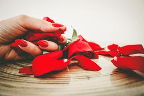 Red Nails and flower petals