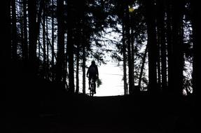 cyclist in the dark forest