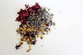 colourful dried flowers