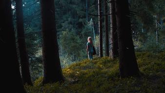 girl near the trees in the forest