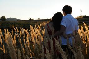 wheat field Man Woman