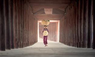 Rice Seeds worker