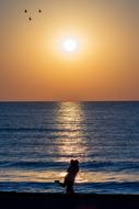 distant view of the silhouette of a couple in love on the beach