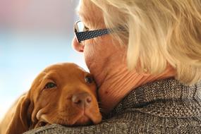 Old person and dog