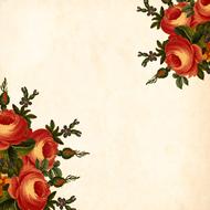 vintage roses as a flower background