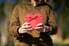 Valentine'S Day heart present