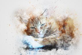 drawing of red cat with blue eyes
