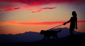 silhouette of woman walking with dog at dusk