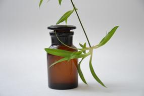 vintage dark Glass Bottle, chemist glassware