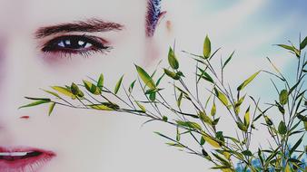 A woman's face and green branches