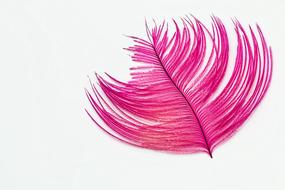 Feather Wallpaper Ostrich pink