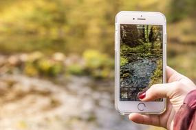 take pictures of a forest stream on a smartphone