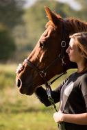 photo of a girl with a horse