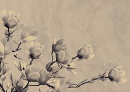 old fashioned background, flowers