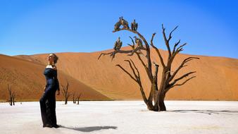 young Woman starving in desert, digital art