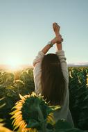 girl on sunflower field at sunset