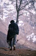 Fashion Style Boys and tree