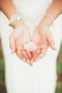 Wedding, pink flower between female palms