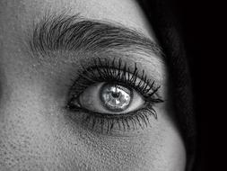 Black and white, close-up of the beautiful, shiny woman's eye
