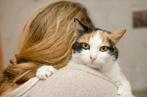 Cat and person