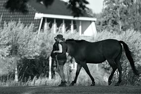 Person horse Walking black and white