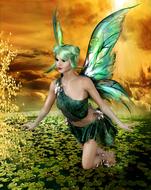 Fairy woman with the colorful wings on colorful background