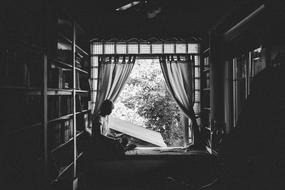 Girl Reading book at window