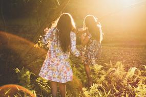 Girls among the plants under the sunset