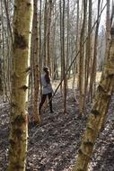 Girl, walking among the beautiful trees of the forest, in sunlight