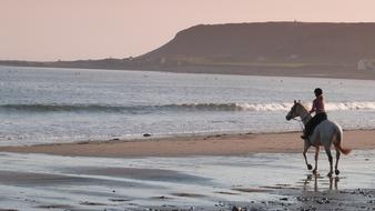 girl riding Horse on Beach at sunset