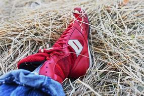 Person Foot red dry grass