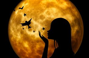silhouettes of a girl and birds on the background of a golden moon