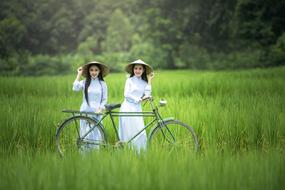 Bicycle Woman Green grass