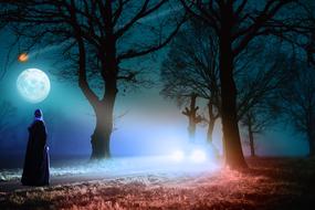 moon light Trees Road person