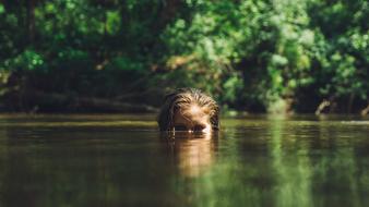top of female head above water