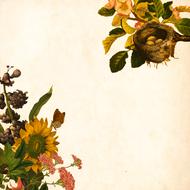vintage picture with flowers