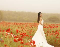 girl in a wedding dress on the field with flowers