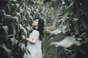 Asian woman, posing among the green corn field